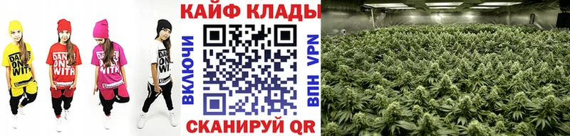 Купить Королёв Cocaine  Меф мяу мяу  hydra вход  СК  МАРИХУАНА  Гашиш 