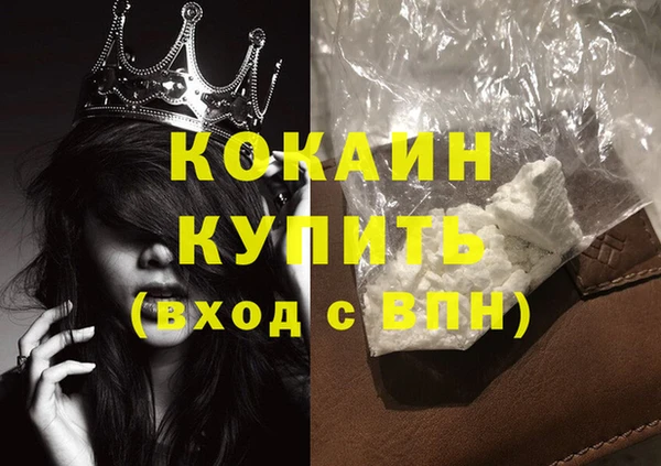 стафф Алексин