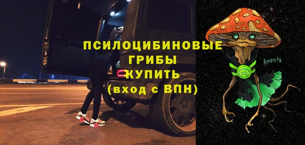 стафф Алексин