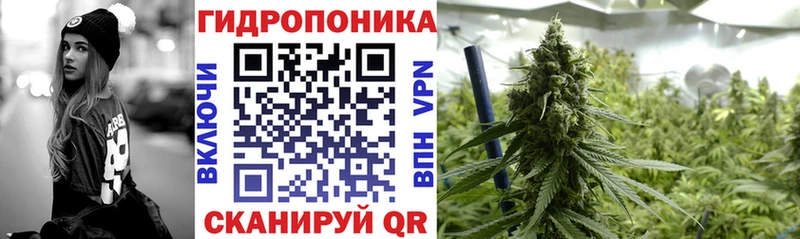 цена   Королёв  Канабис SATIVA & INDICA 